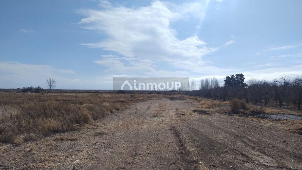 Finca en Venta en Lujan de Cuyo, Mendoza