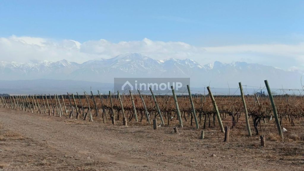 Lujan de Cuyo R. N 40, Ugarteche, Lujan de Cuyo, Mendoza