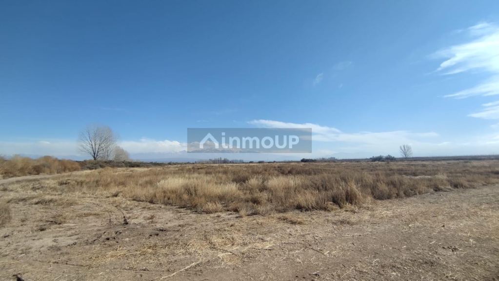 Finca en Venta en Lujan de Cuyo, Mendoza