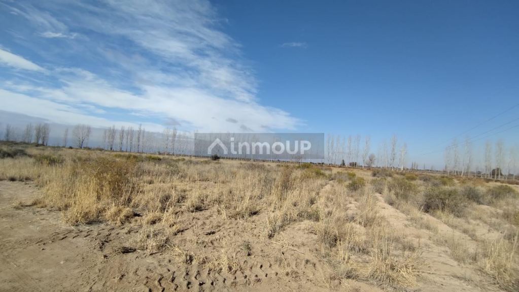 Finca en Venta en Lujan de Cuyo, Mendoza