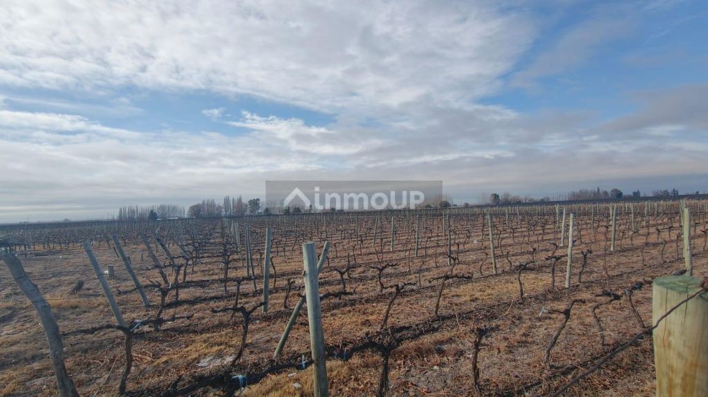 Lujan de Cuyo R. N 40, Ugarteche, Lujan de Cuyo, Mendoza