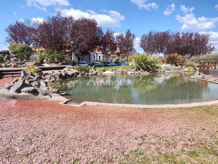 Lote en Venta en Lujan de Cuyo, Mendoza