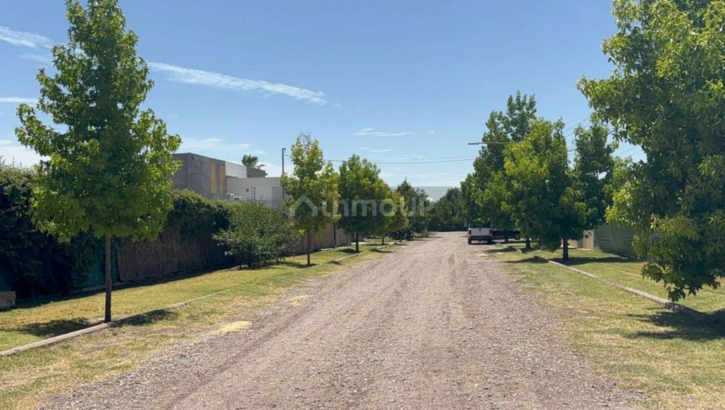 Lote en Venta en Lujan de Cuyo, Mendoza