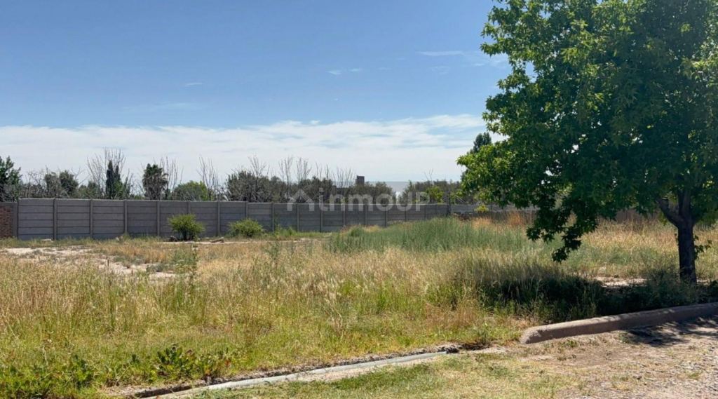 Lote en Venta en Lujan de Cuyo, Mendoza