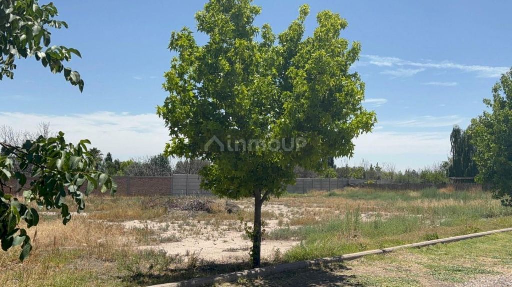 Lote en Venta en Lujan de Cuyo, Mendoza