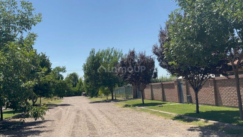 Lote en Venta en Lujan de Cuyo, Mendoza