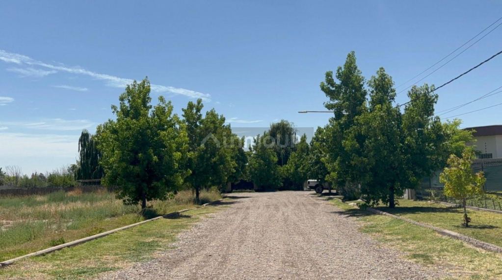 Lote en Venta en Lujan de Cuyo, Mendoza