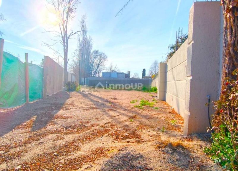 Lote en Venta en Lujan de Cuyo, Mendoza