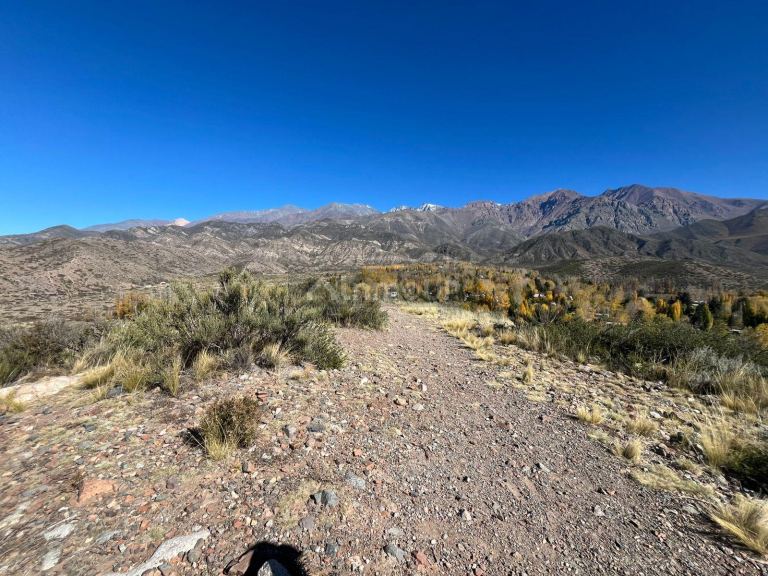 Lote en Venta en Lujan de Cuyo, Mendoza