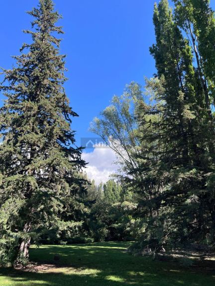 Lote en Venta en Lujan de Cuyo, Mendoza