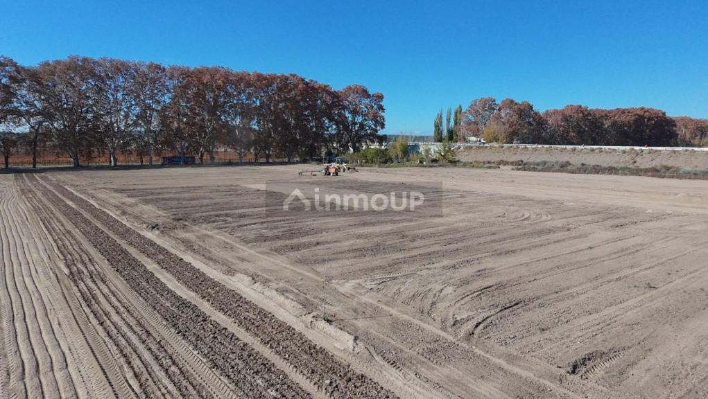 Lote en Venta en Lujan de Cuyo, Mendoza - USD 17.500 | Inmoup - 8