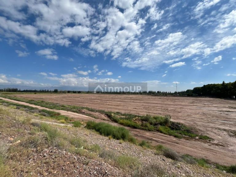 Lote en Venta en Lujan de Cuyo, Mendoza - USD 17.500 | Inmoup - 13