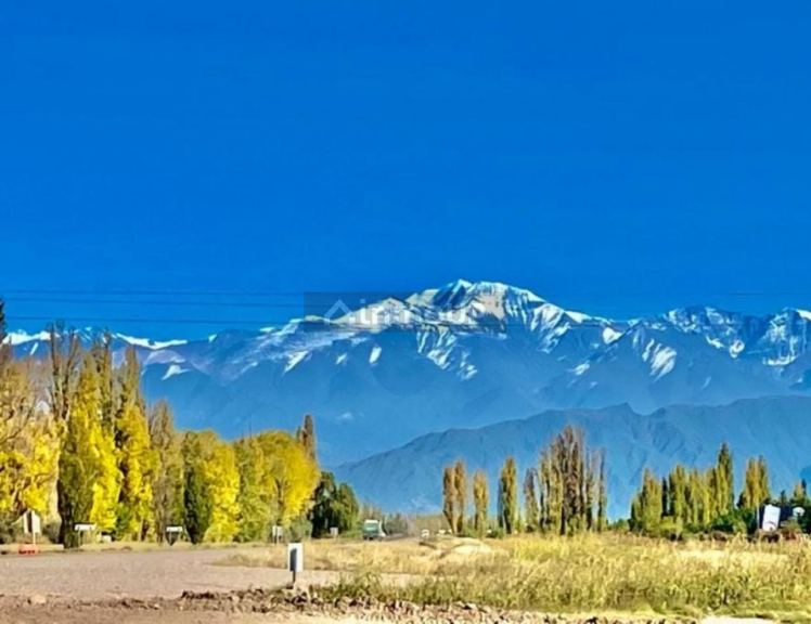 Lujan de Cuyo Ruta Provincial 15 y Ruta Nacional 7