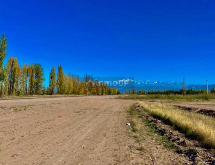 Lote en Venta en Lujan de Cuyo, Mendoza - USD 17.500 | Inmoup - 14