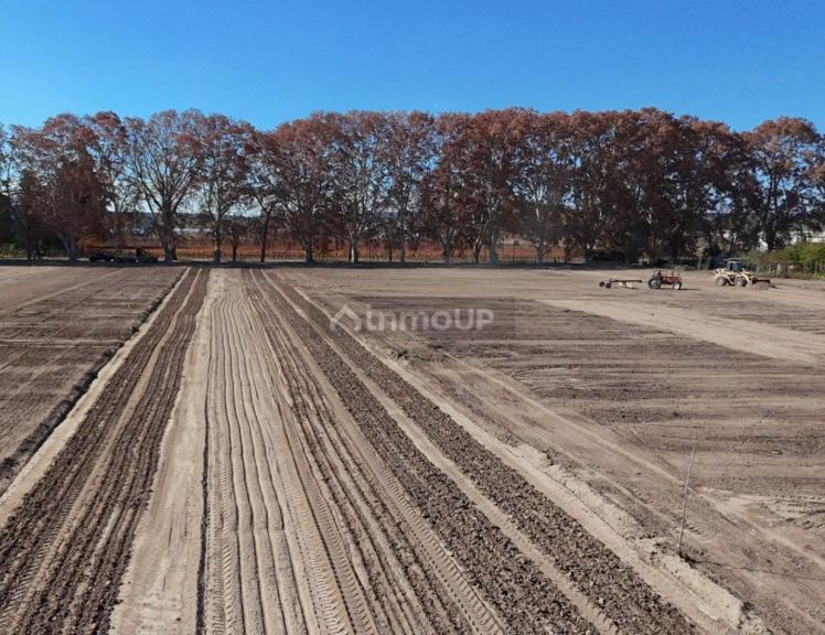 Lote en Venta en Lujan de Cuyo, Mendoza - USD 17.500 | Inmoup - 9