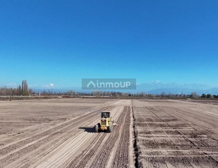 Lote en Venta en Lujan de Cuyo, Mendoza - USD 17.500 | Inmoup - 6