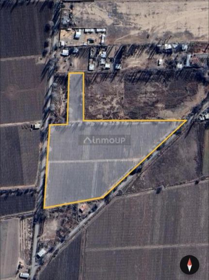 Finca en Venta en Lujan de Cuyo, Mendoza