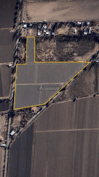 Finca en Venta en Lujan de Cuyo, Mendoza