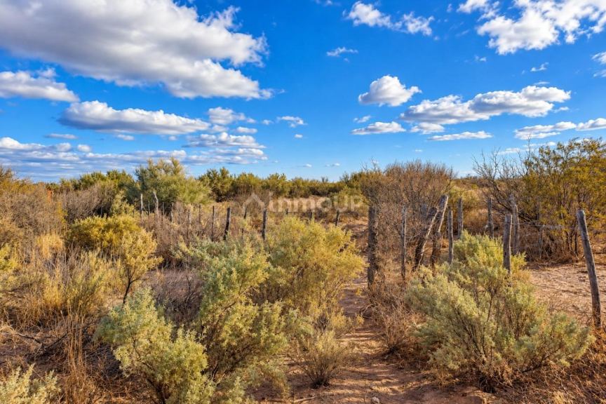 Campo en Venta en Santa Rosa, Mendoza