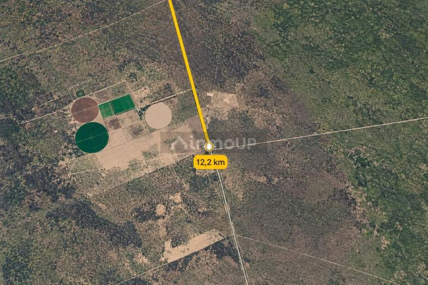 Campo en Venta en Santa Rosa, Mendoza