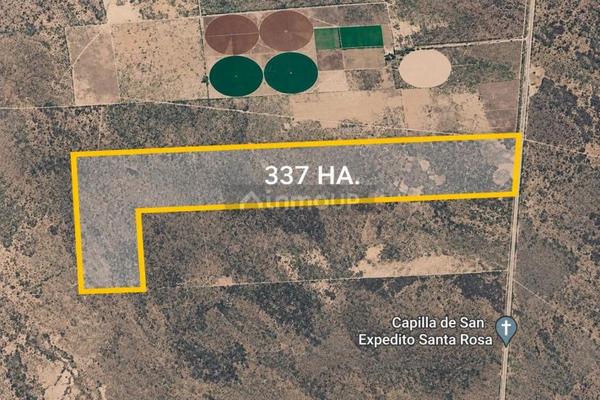 Campo en Venta en Santa Rosa, Mendoza