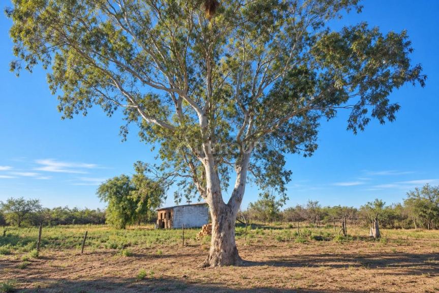 Campo en Venta en Santa Rosa, Mendoza