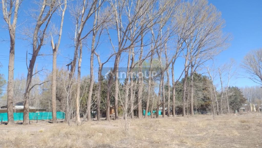 Lote en Venta en Malargue, Mendoza - USD 470.000 | Inmoup - 6