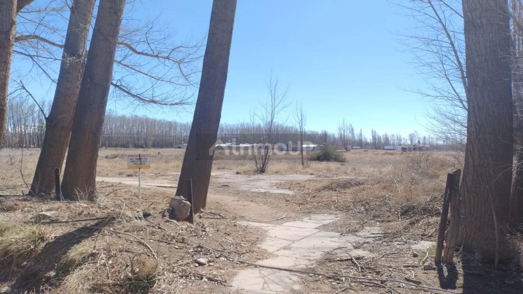 Lote en Venta en Malargue, Mendoza - USD 470.000 | Inmoup - 8