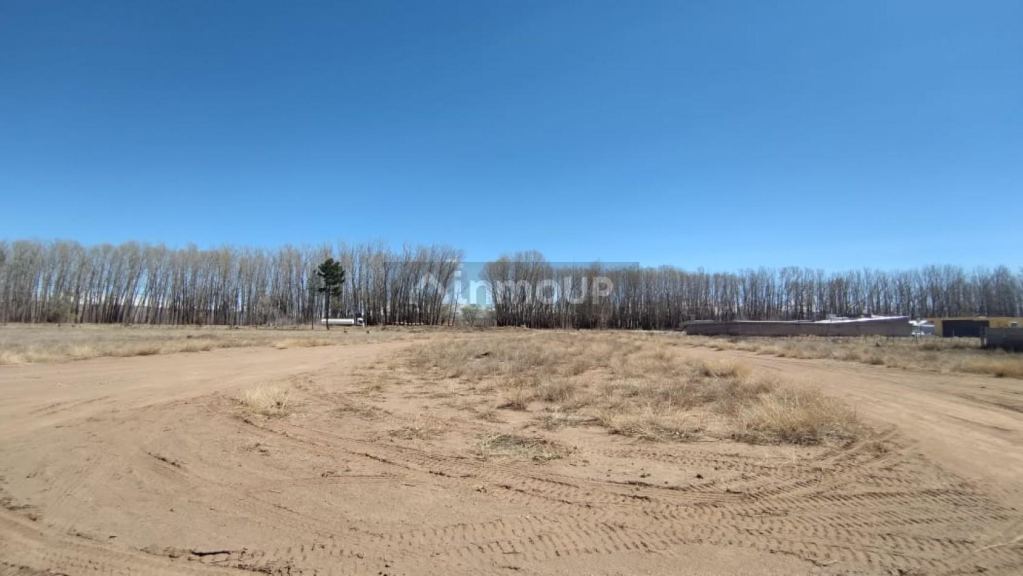 Lote en Venta en Malargue, Mendoza - USD 470.000 | Inmoup - 11