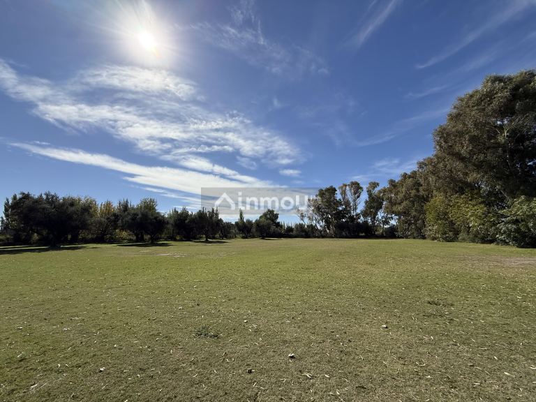 Fondo de Comercio en Alquiler Temporario en Junin, Mendoza