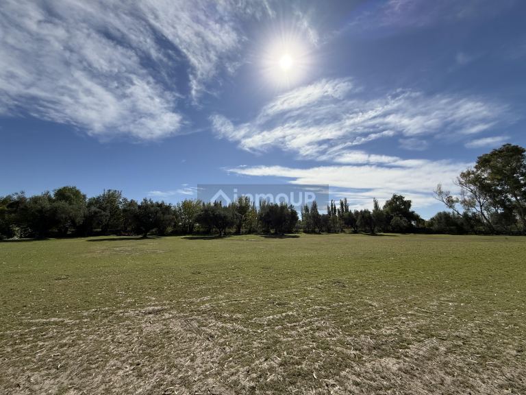 Fondo de Comercio en Alquiler Temporario en Junin, Mendoza