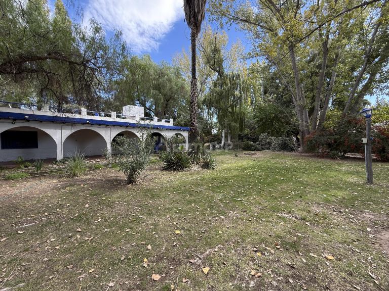 Casa en Alquiler en Junin, Mendoza