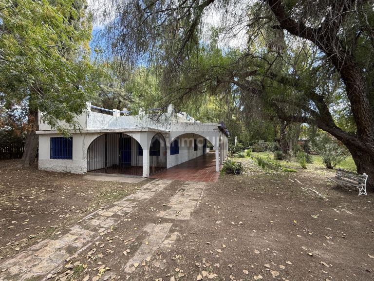 Casa en Alquiler en Junin, Mendoza