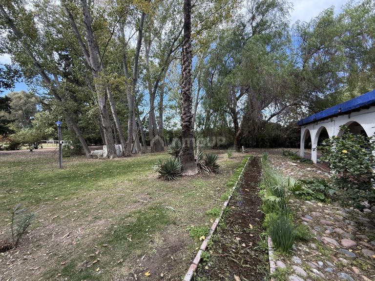 Casa en Alquiler en Junin, Mendoza