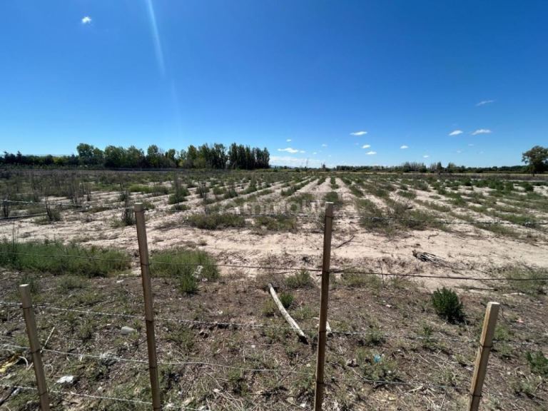Lote en Venta en Capital, San Juan