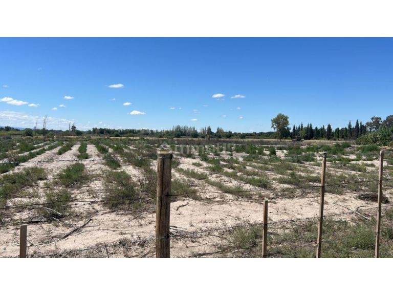 Lote en Venta en Capital, San Juan
