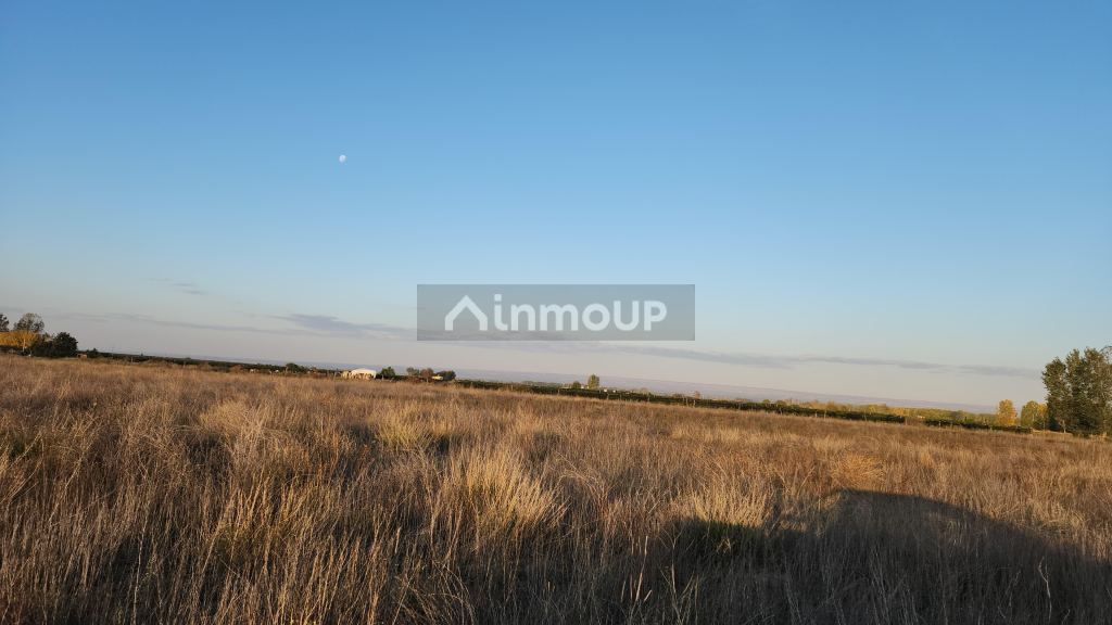 Finca en Venta en San Carlos, Mendoza