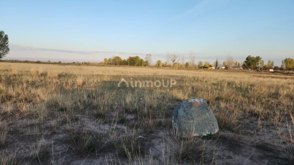 Finca en Venta en San Carlos, Mendoza