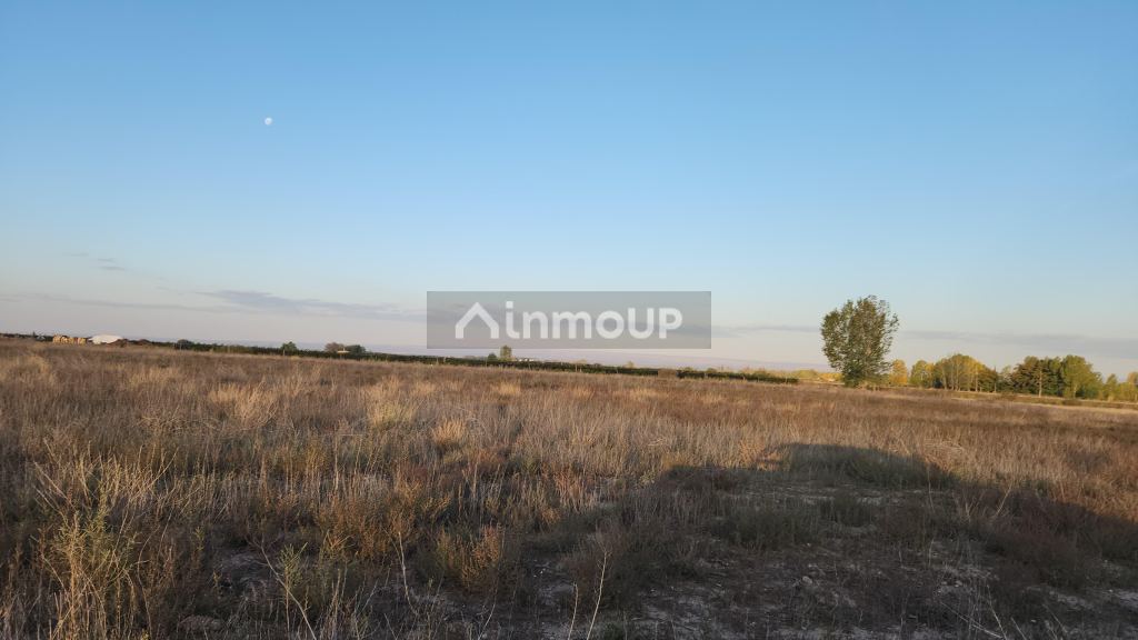 Finca en Venta en San Carlos, Mendoza