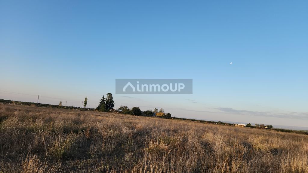 Finca en Venta en San Carlos, Mendoza