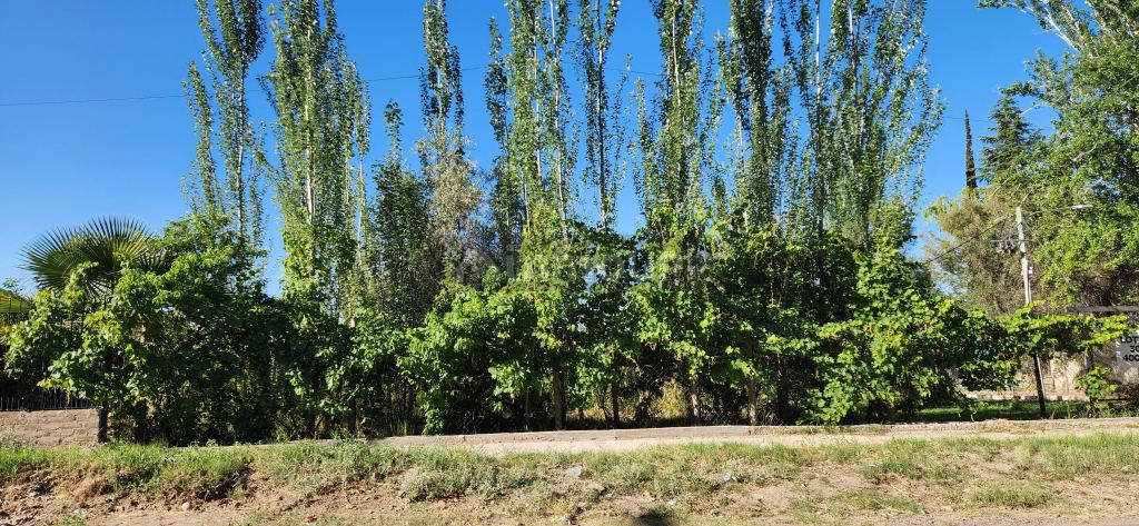 Lote en Venta en Maipu, Mendoza