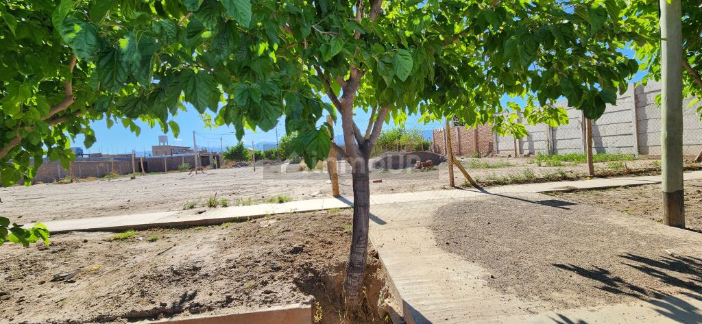 Lote en Venta en Maipu, Mendoza