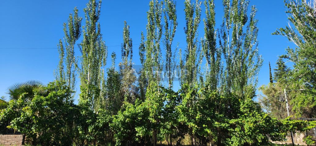 Lote en Venta en Maipu, Mendoza