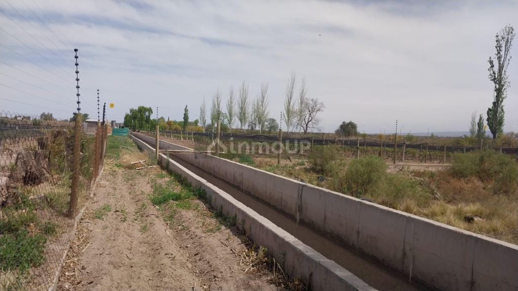 Finca en Venta en Lujan de Cuyo, Mendoza