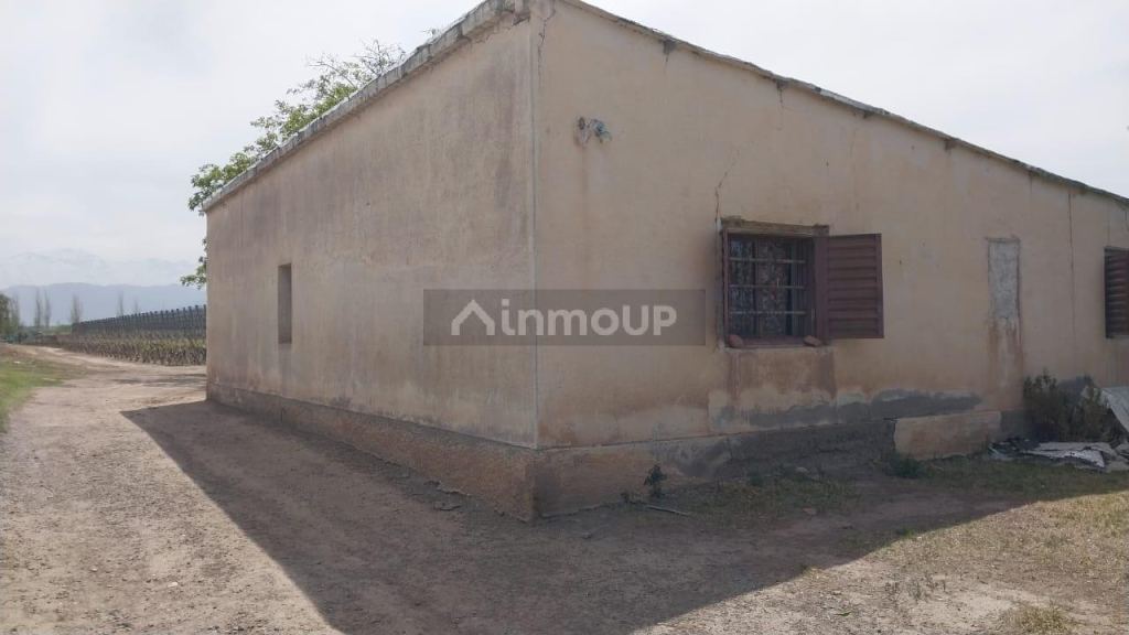 Finca en Venta en Lujan de Cuyo, Mendoza