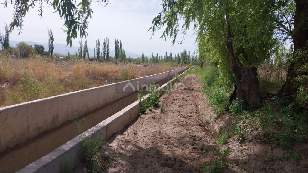 Finca en Venta en Lujan de Cuyo, Mendoza