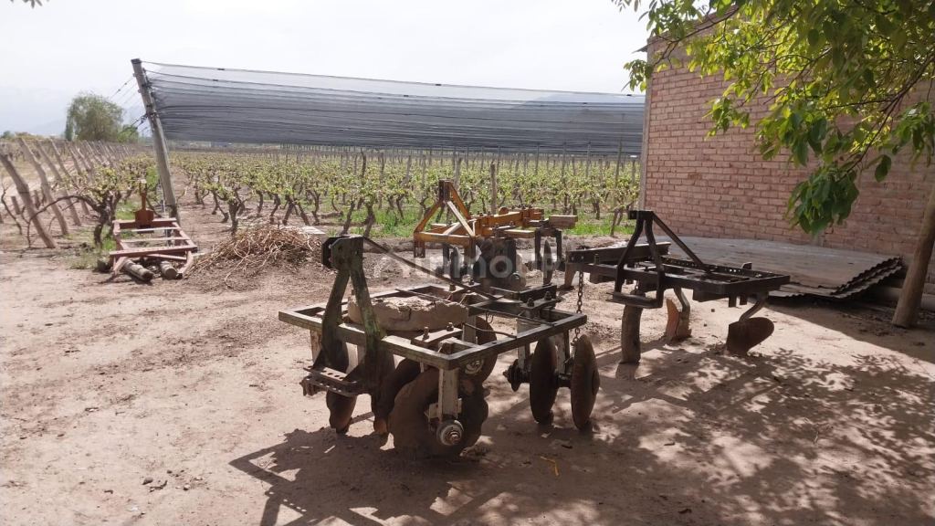Finca en Venta en Lujan de Cuyo, Mendoza
