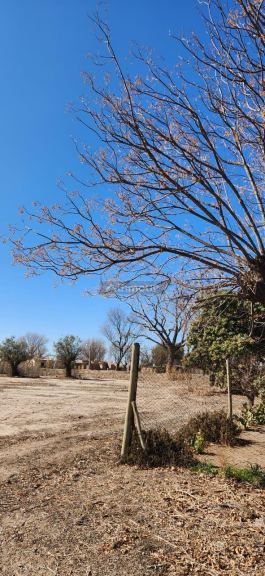 Finca en Venta en San Martin, Mendoza