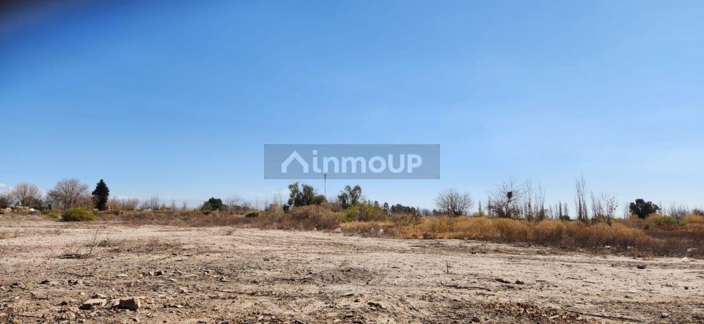 Finca en Venta en San Martin, Mendoza