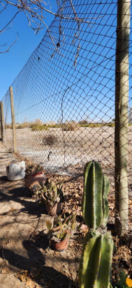 Finca en Venta en San Martin, Mendoza